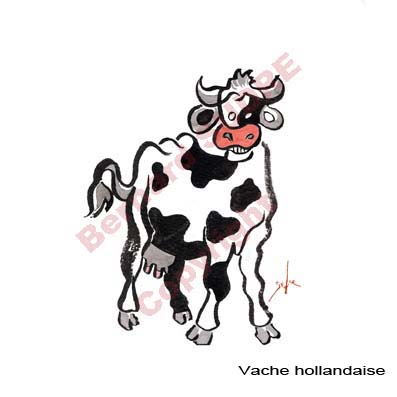 vache hollandaise